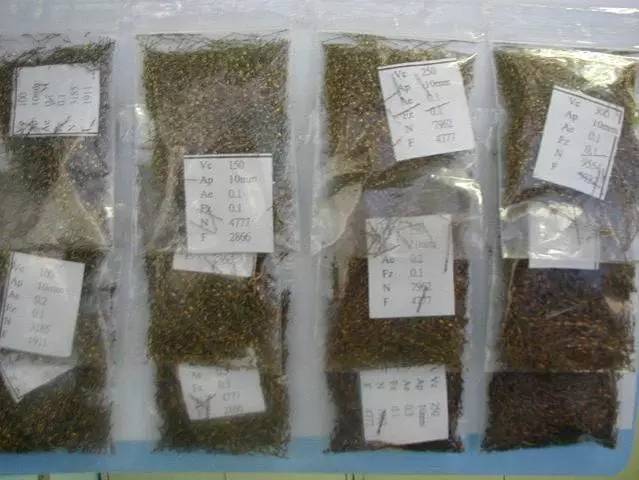 1492220817914063.jpg 11.jpg